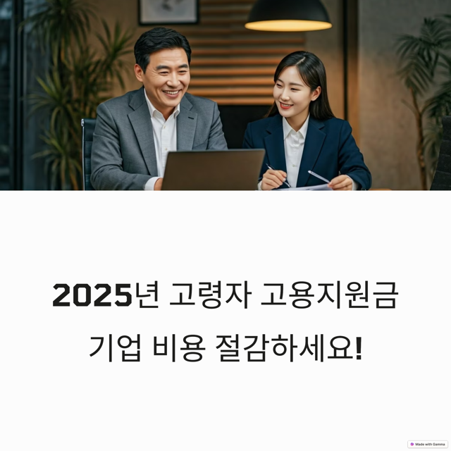 고령자 고용지원금