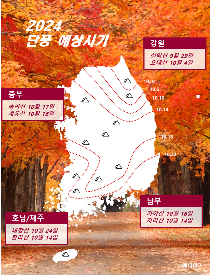 웨더아이 단풍시작시기
