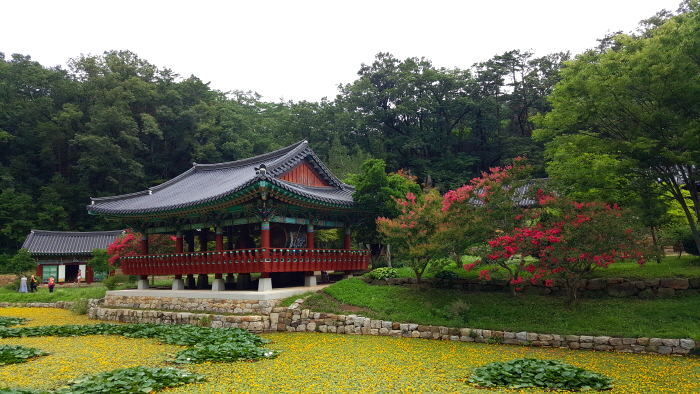절앞에 연못이 있다.