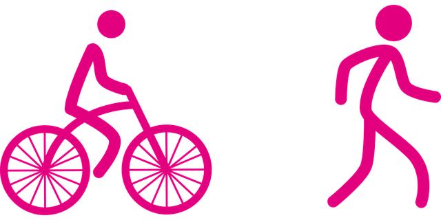 도시 외곽 빈집의 생태 주거 가능성 분석