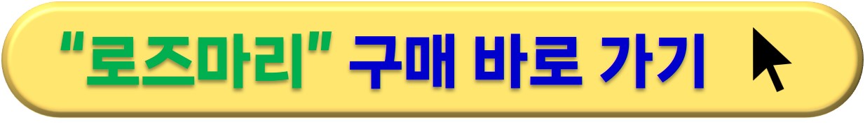 공기정화식물