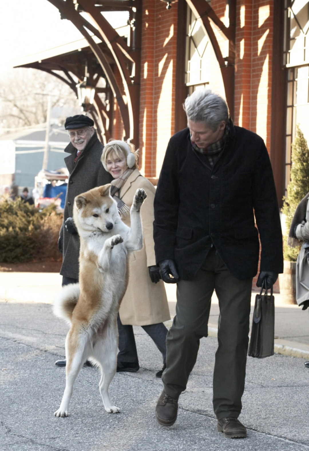 영화 하치 포스터 사진