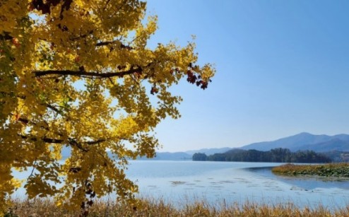 10월 국내여행지 베스트10. 양평 두물머리 (경기도 양평군)