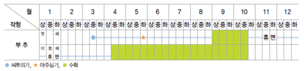부추 키우기, 재배 방법, 심는 시기 알아보기