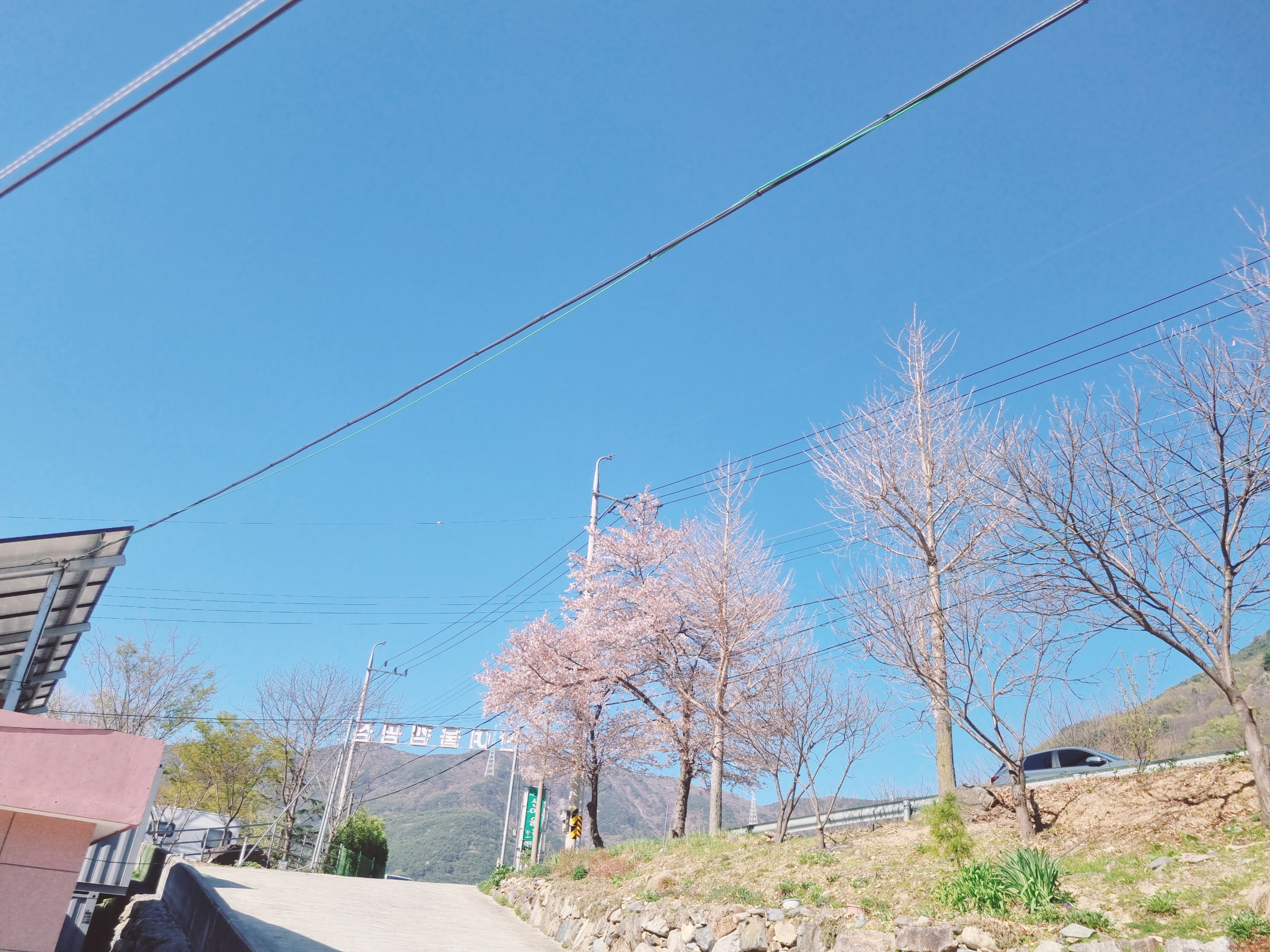 밀양 산여울 캠핑장