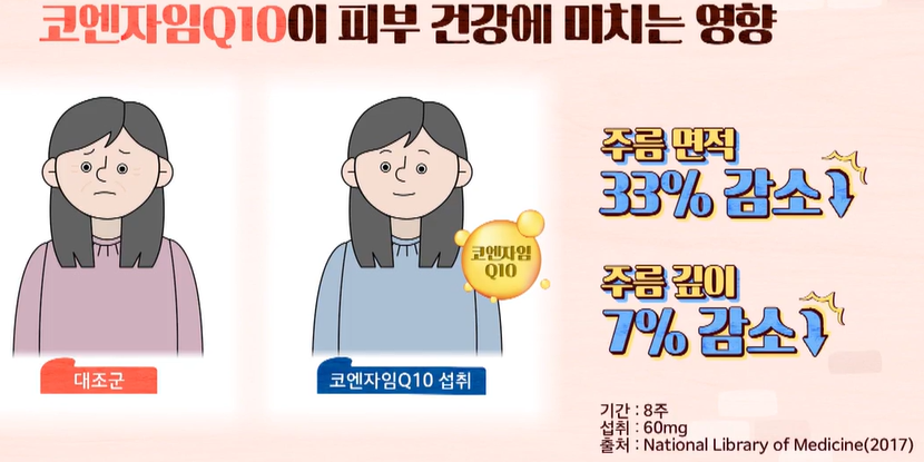 코엔자임큐텐의 효능