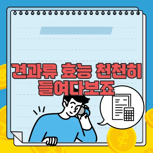 견과류 효능 천천히 들여다보죠