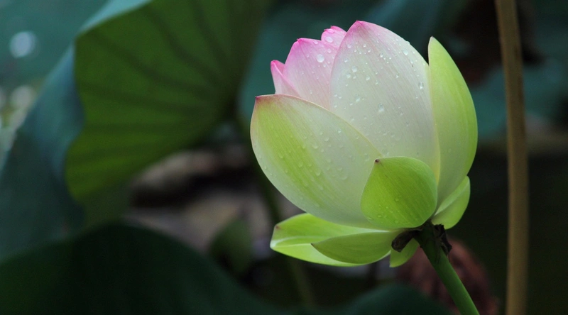 측정 결과 해석
