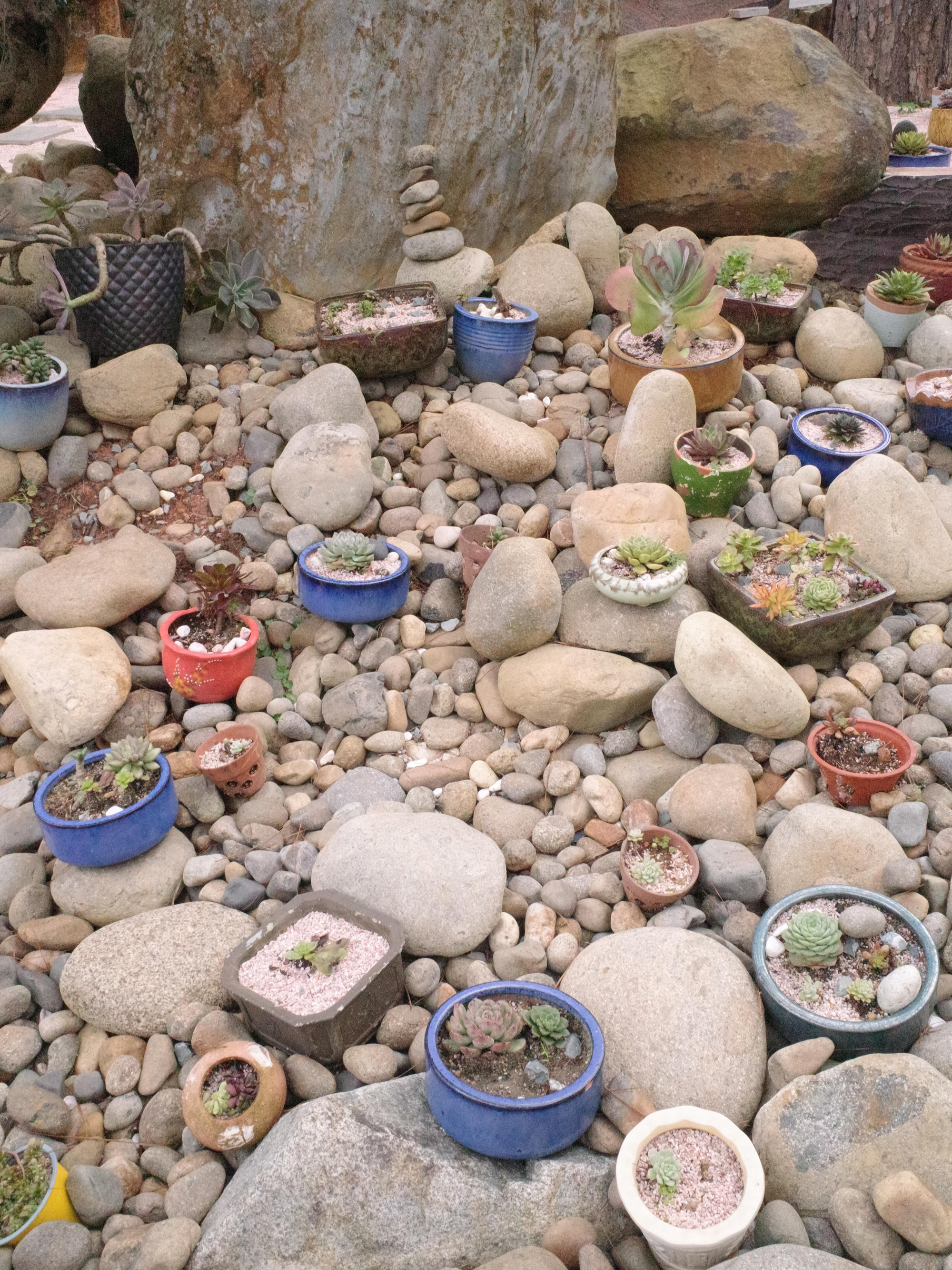 Tr&uacute;c L&acirc;m Zen Monastery 귀엽게 돌과 화분으로 꾸며 놓은 모습