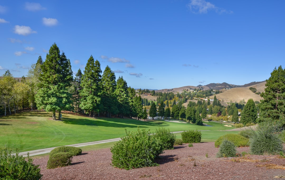 Park Golf