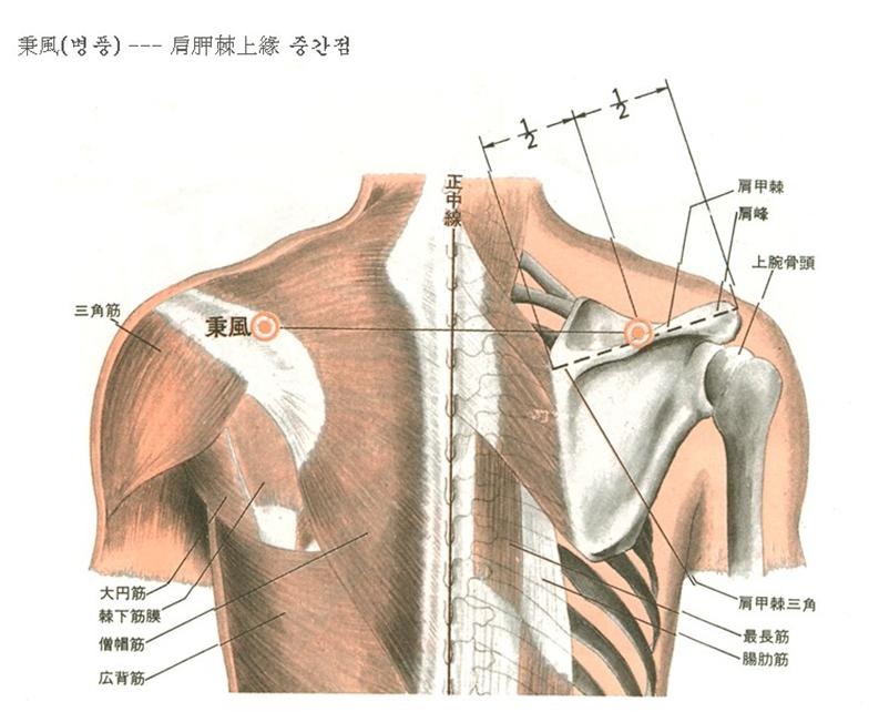 어깨 아플때 혈자리