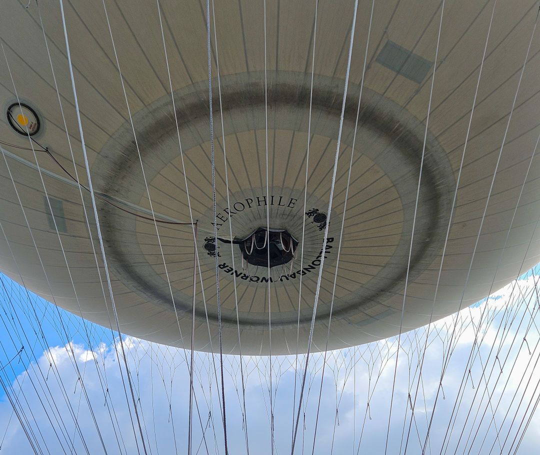 플라잉 수원 생김새