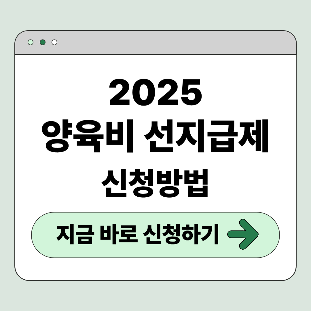 양육비 선지급제