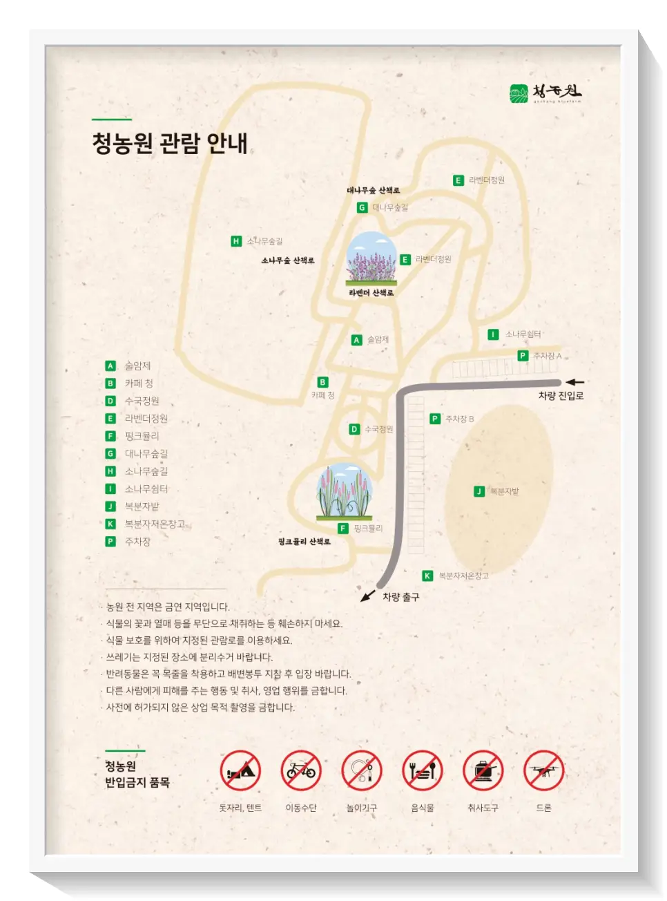고창 핑크뮬리축제