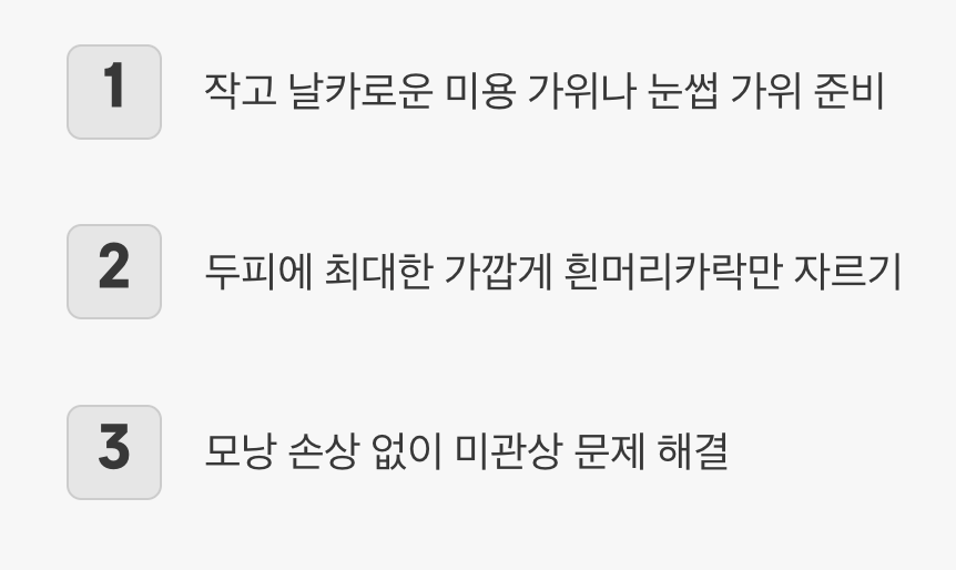 가장 안전하고 현명한 대안, '자르기'
