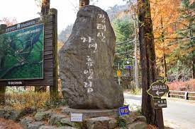 대전 가볼 만한 곳