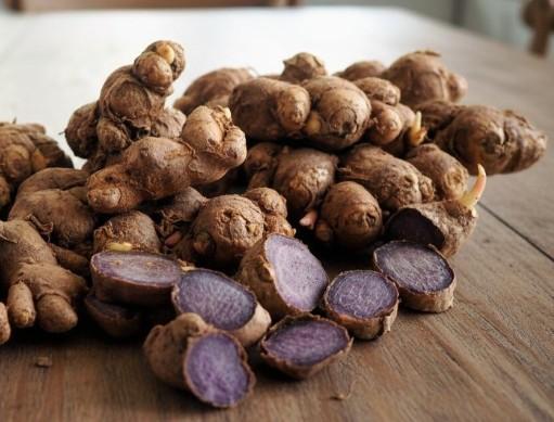 파비플로라 효능