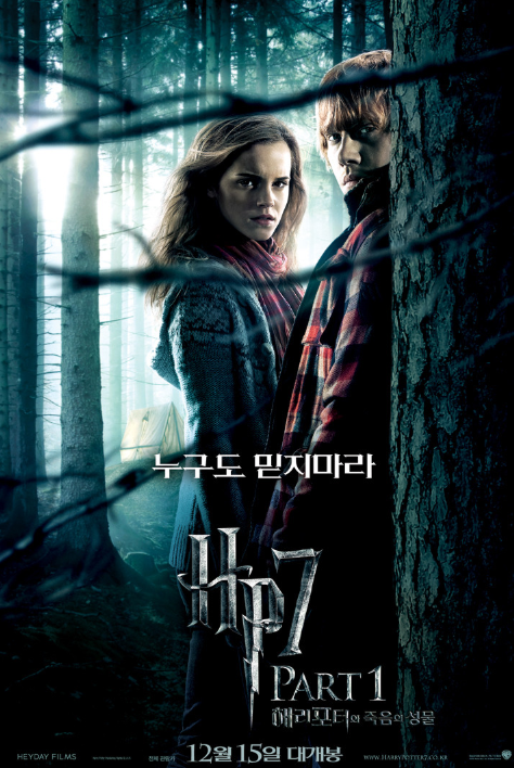 영화 해리 포터 포스터 사진