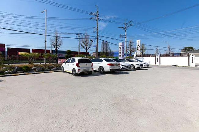 소인애 낙지냉면