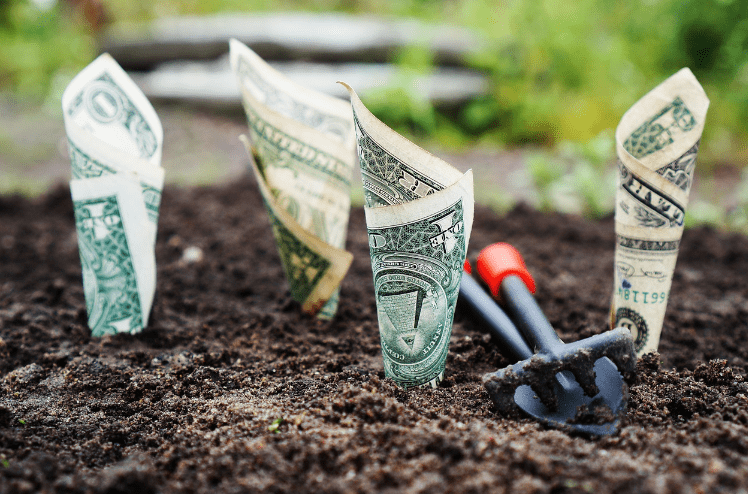 흙에 돈이 꽂혀있다.