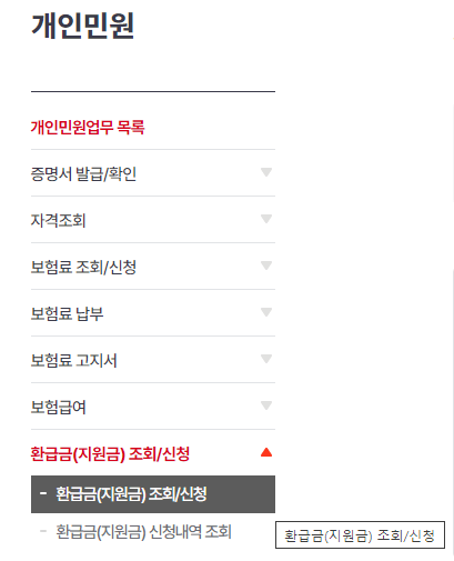 국민건강보험-본인부담