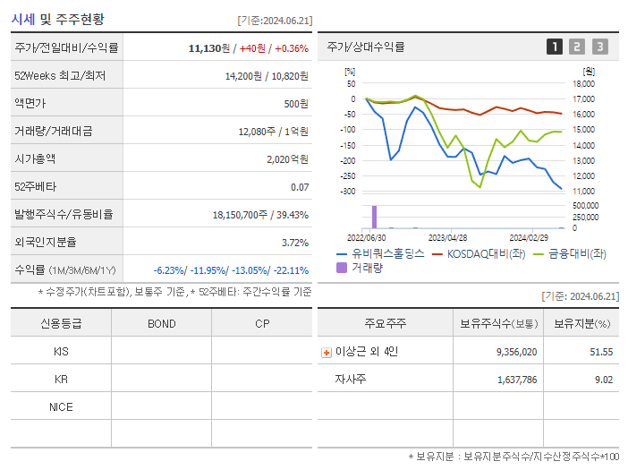 유비쿼스홀딩스_기업개요