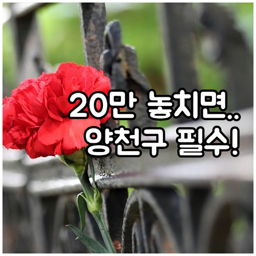 양천구 2025 사망위로금 20만원 ..