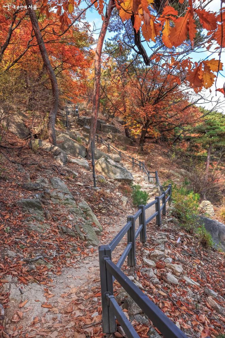 '백운정'에서 잠시 아름다운 서울 전경을 감상한 후, 오르막 길을 따라 조금 더 걸어본다.
