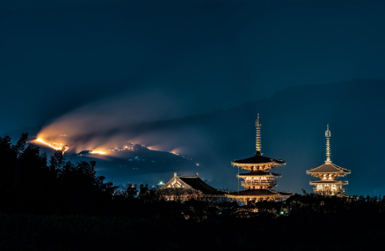 화 피로 시대, 빠른 소비 대신 느린 경험이 필요한 이유