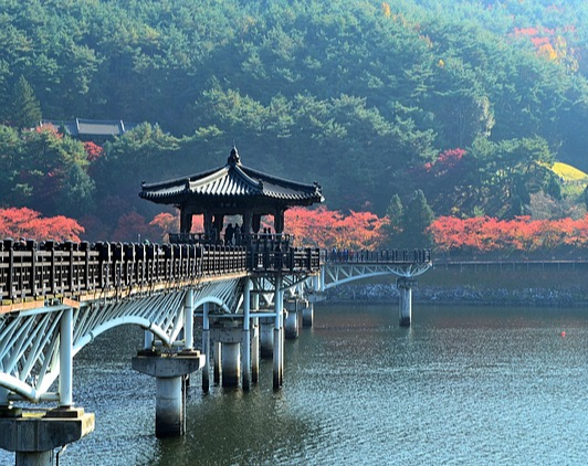 안동시 2026년 동아시아 문화도시 선정 03