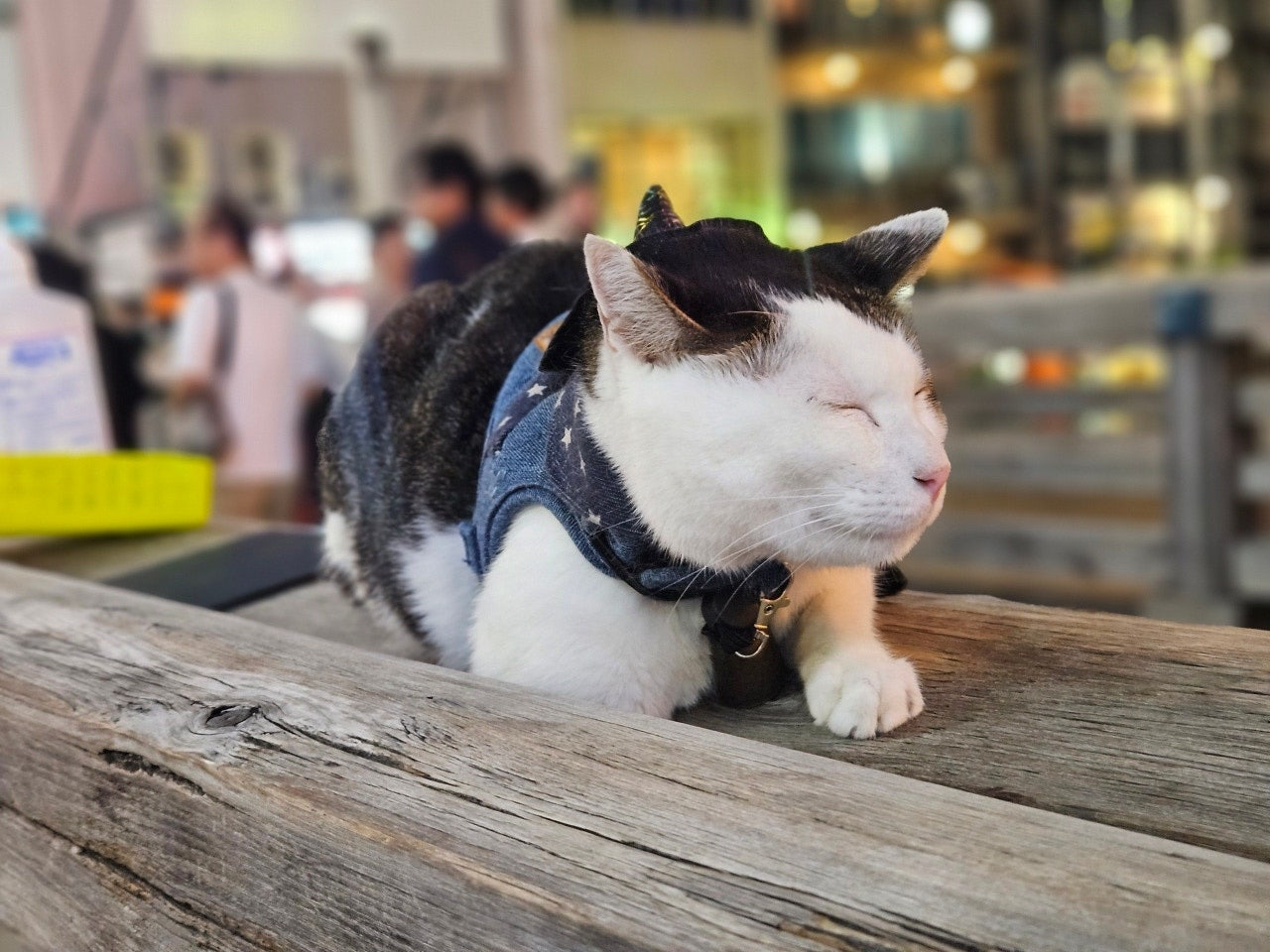 오사카패키지홈쇼핑 오사카항공숙소 오사카패키지땡처리 오사카패키지4일 오사카여행예약 오사카자유 우메다 신사이바시