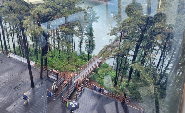 마장호수 출렁다리