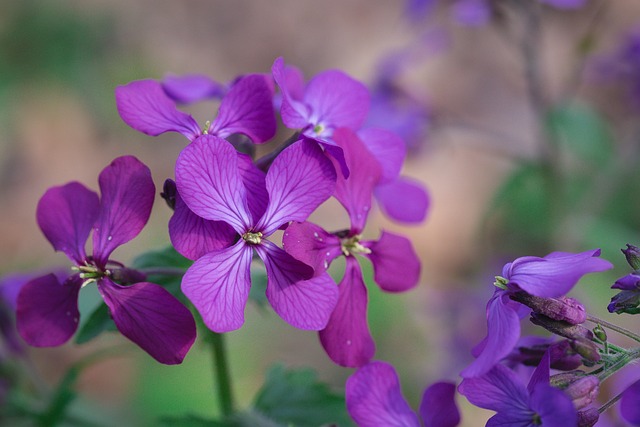 2025 숙박세일페스타 할인쿠폰 발급방법