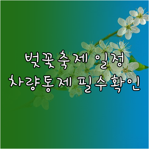 2026 여의도 벚꽃 축제 일정과 차..