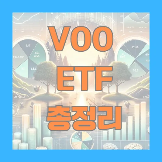 VOO ETF 알아보기