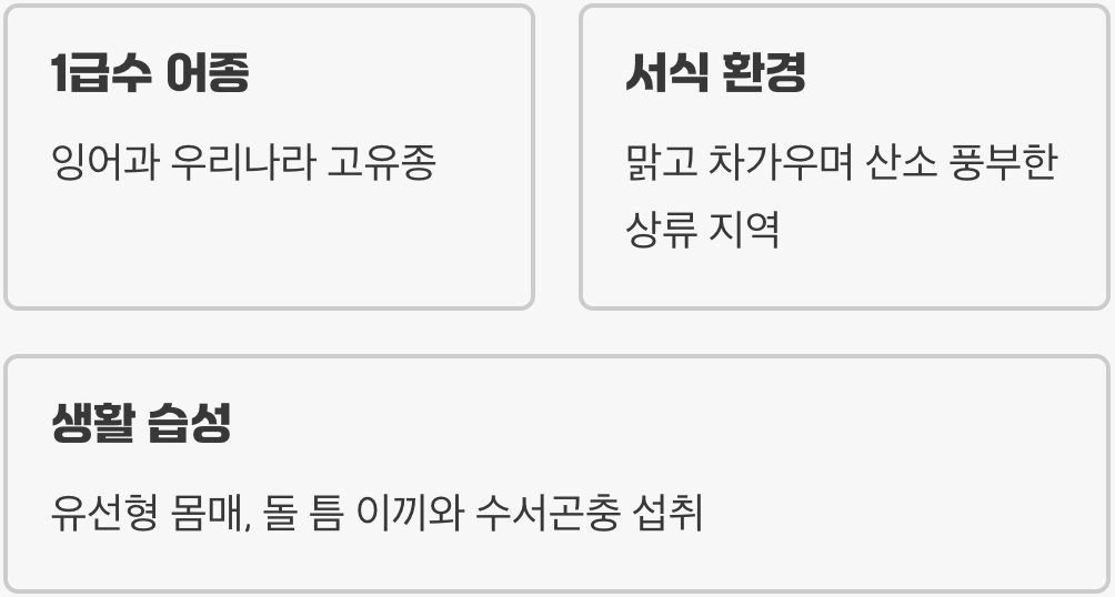 계곡의 요정&amp;#44; 쉬리를 만나다