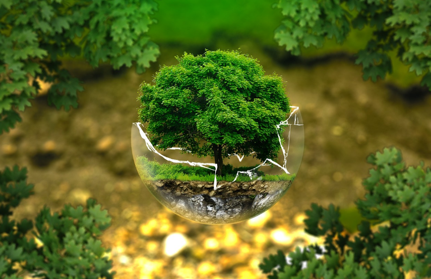 지역 커뮤니티와 함께하는 환경 보호 활동