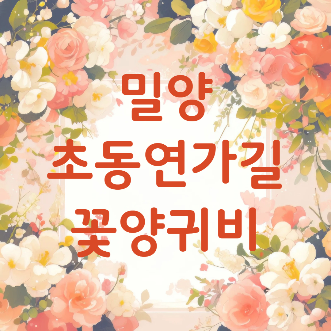 밀양 초동연가길 양귀비꽃