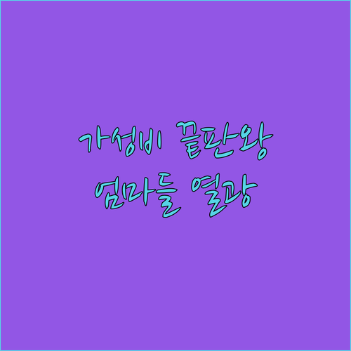 가성비 끝판왕! 에브리봇 로봇청소기 ..