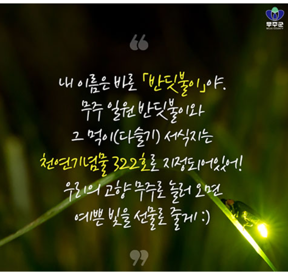 반딧불