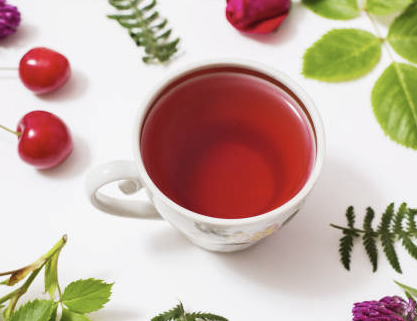 우엉차 효능 9가지 부작용 끓이는법 총정리 (2024)