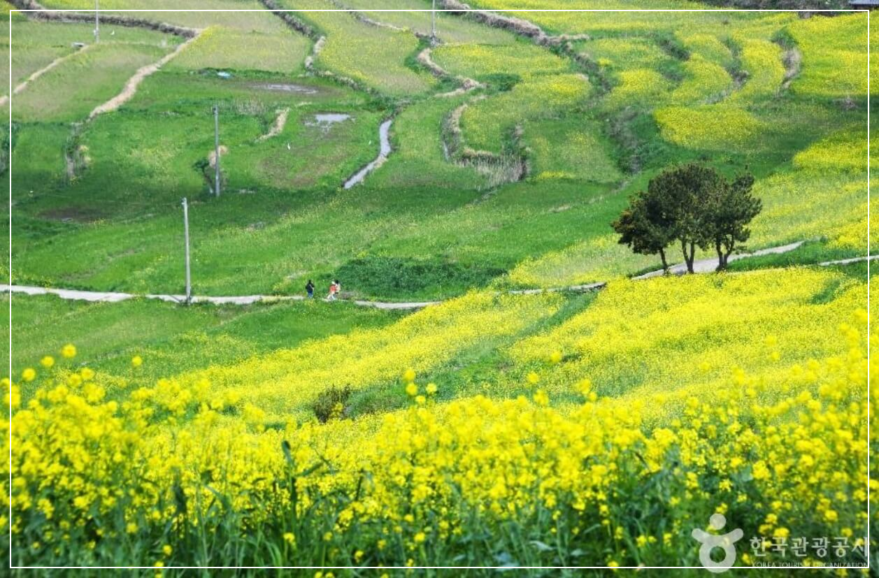 완도 가볼만한곳 베스트10 청산도 슬로길