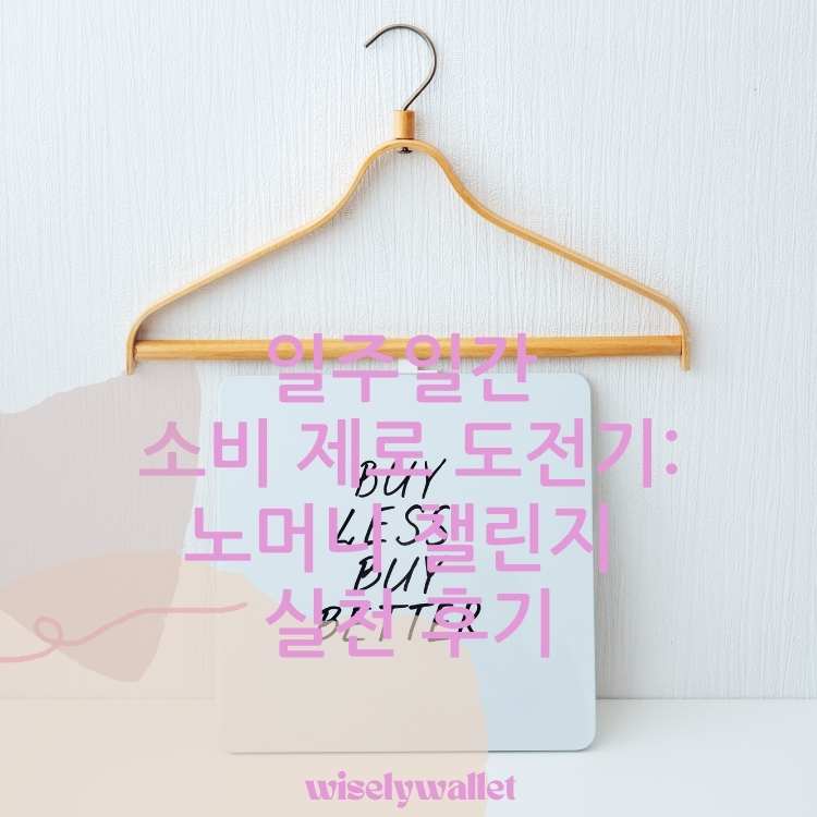 <img src="일주일간-소비-제로-도전기.jpg" alt="일주일간-소비-제로-도전기-썸네일">