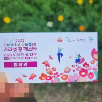 자라섬 꽃 페스타 2025 행사일정 관람 포인트 완전 정리_2