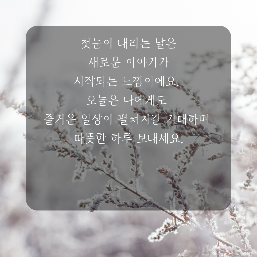 소설 인사말 겨울 인사말 이미지 문구 안부글 오음집 11월