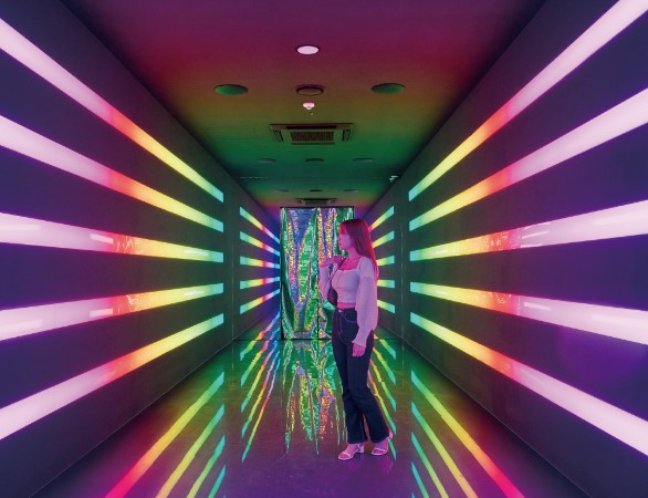 뮤지엄 딥다이브