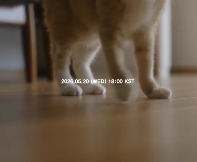 로이킴 사진