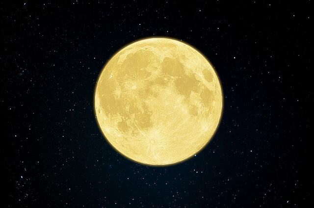 대구 치맥페스티벌