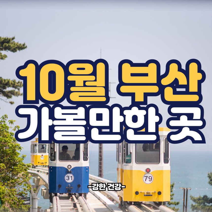 10월 부산 가볼 만한 곳