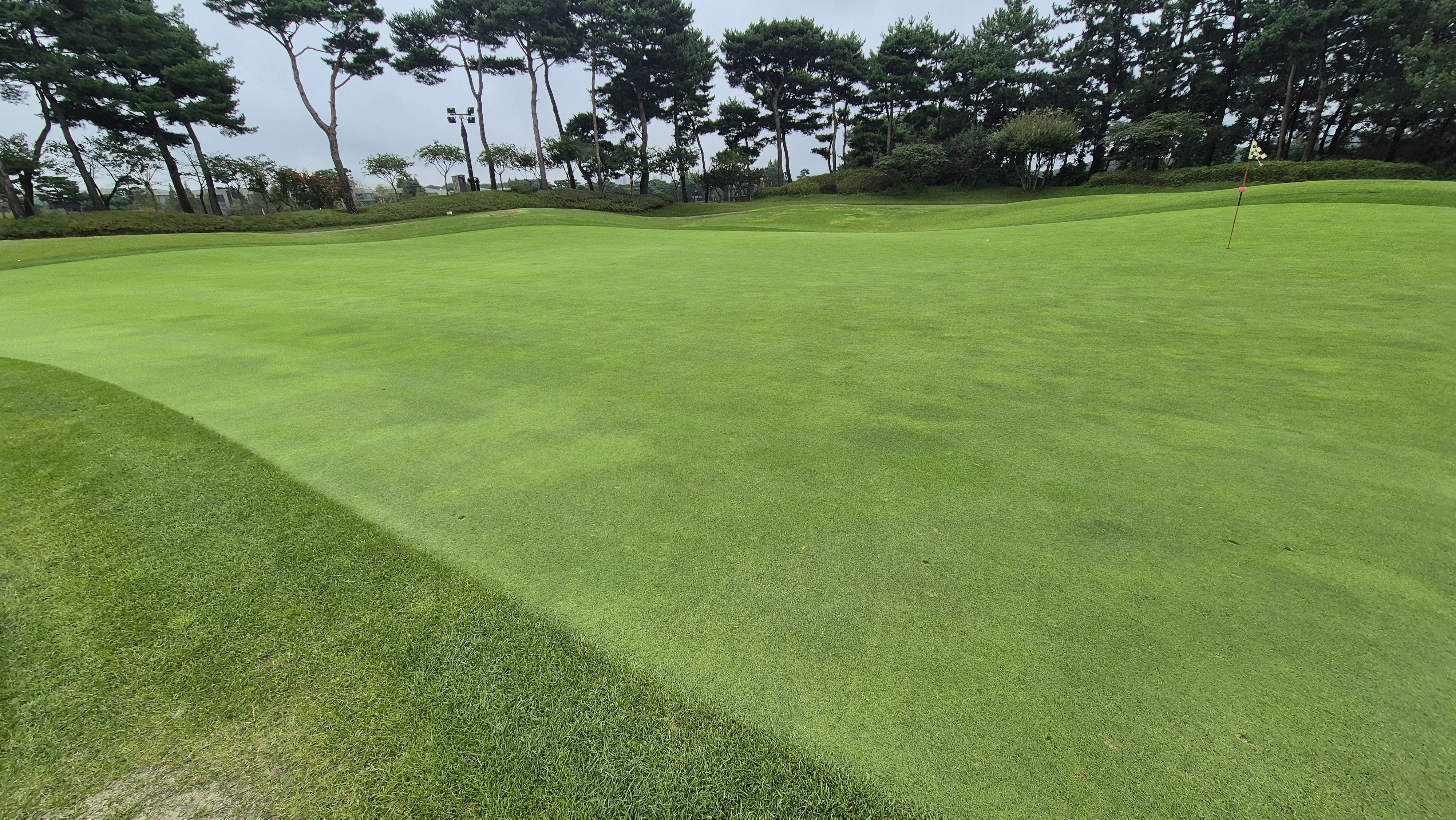 파인스톤cc 그린 빠르기 및 난이도